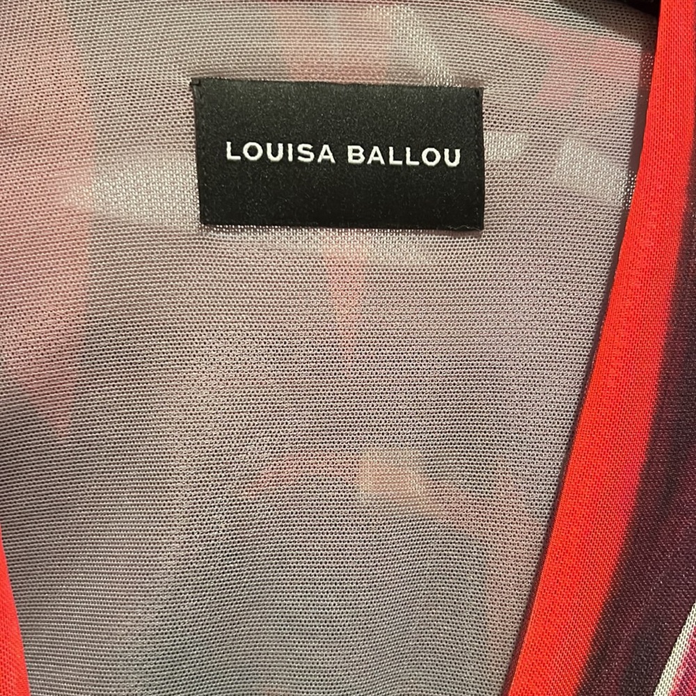 Louisa ballou dress - Picture 3 of 5